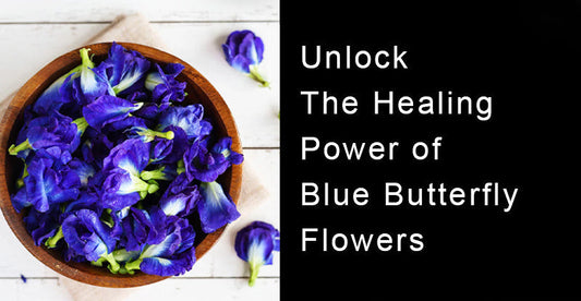 Blue Butterfly Flowers: Unlocking the Health Benefits and Uses of This Vibrant Herb