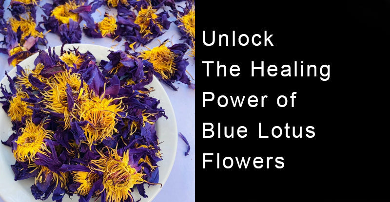 Dried Blue Lotus Flowers: Benefits, Uses & How to Incorporate Into Your Routine