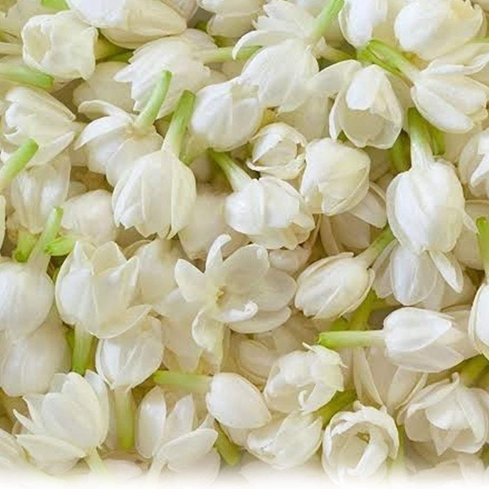 Dried Jasmine Flowers – Naturally Dehydrated and Fragrant Herbal Blossoms