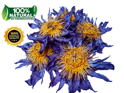 Blue Lotus Flowers Nymphaea Caerulea Organic Premium Quality For Tea, Bath, Incense