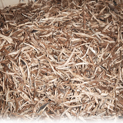 Tea Golden Tips Loose Leaf White Pure Green 100% Organic Premium Quality From Ceylon