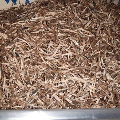 Tea Golden Tips Loose Leaf White Pure Green 100% Organic Premium Quality From Ceylon
