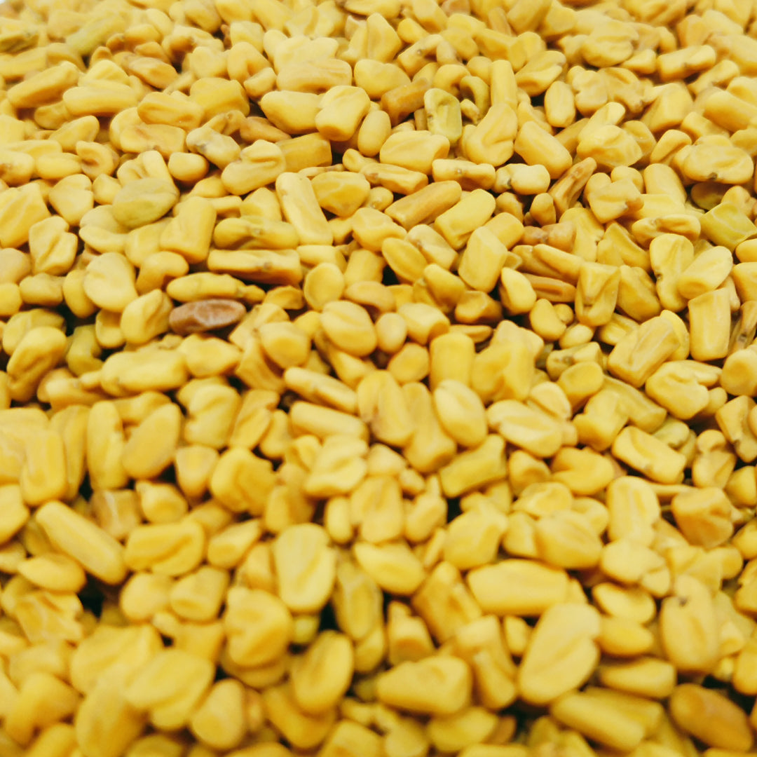 Fenugreek-Foenum Graecum Organic Seeds Ceylon Bulk