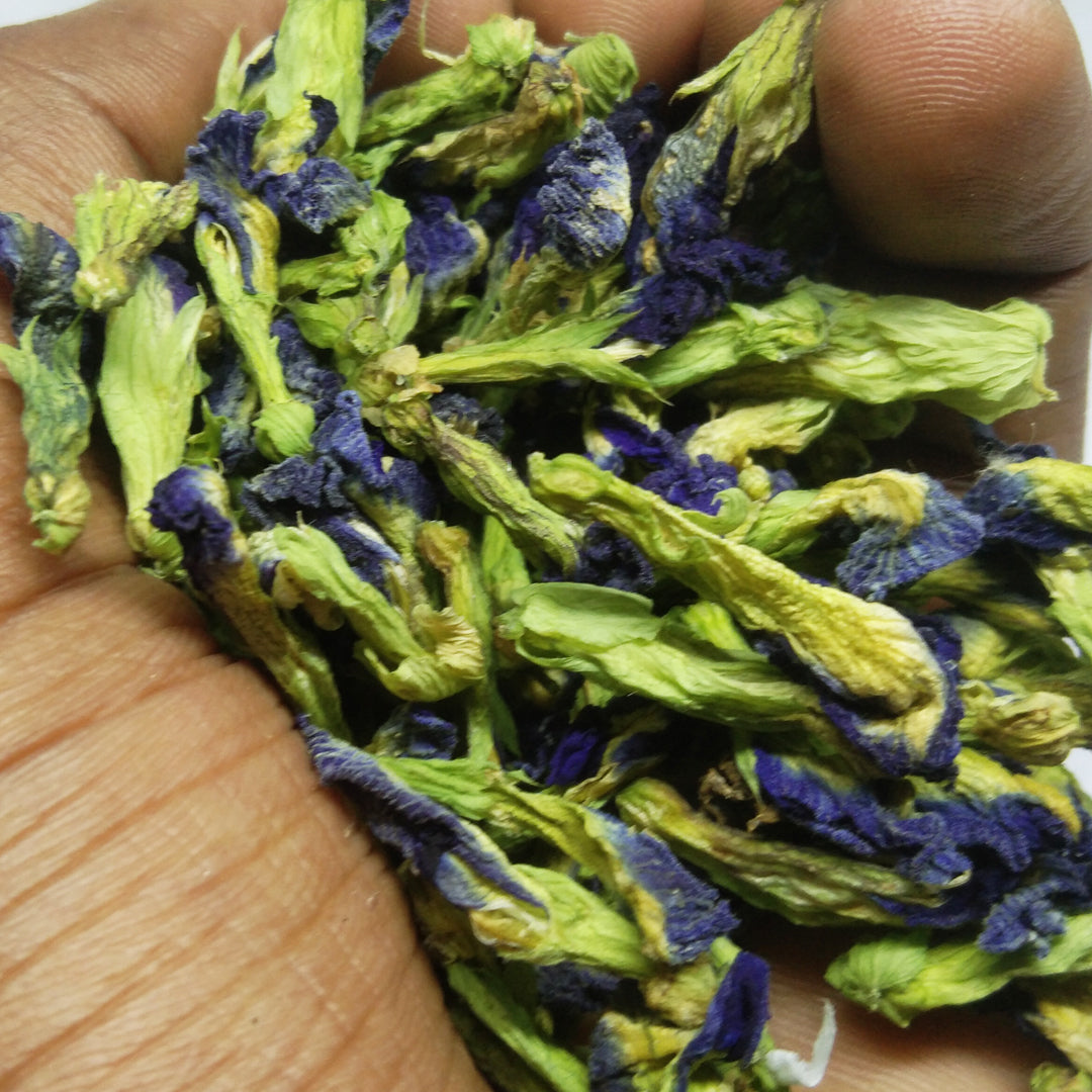 Dried Blue Butterfly Pea Natural Flowers Clitoria Ternatea Tea Herbal From Ceylon